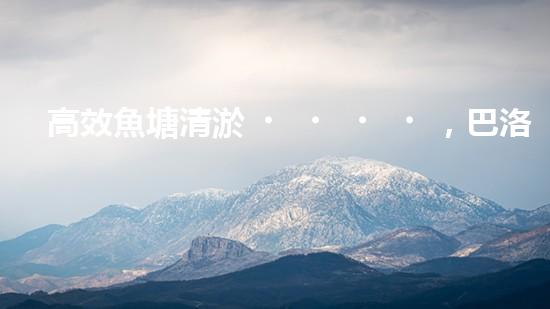 高效魚塘清淤，巴洛仕設(shè)備助力生態(tài)養(yǎng)殖